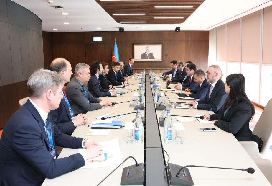 أذربيجان وألمانيا تبحثان التعاون في مجالات الطاقة المتجددة والتقنيات الهيدروجينية