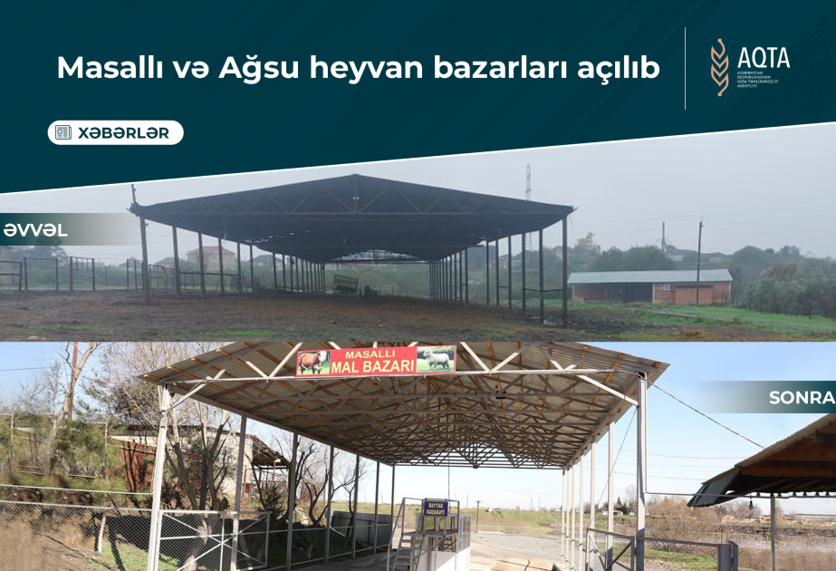 Masallı və Ağsuda heyvan bazarları açılıb