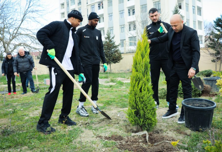 “Neftçi” İdman Klubunun üzvləri ağacəkmə aksiyasında