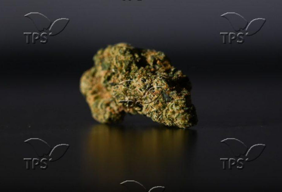 Cannabis compounds show promise in fighting fatty liver disease, scientists say