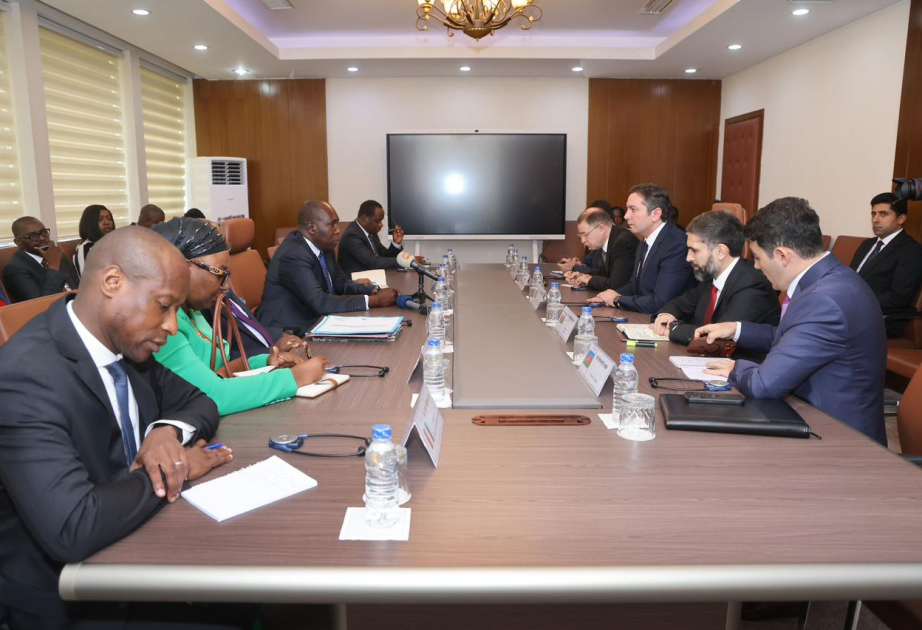 Azerbaijan, Côte d'Ivoire explore prospects for energy cooperation