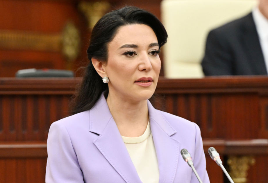 Ombudsman: Drone attacks on Nakhchivan violate principles of good neighborliness