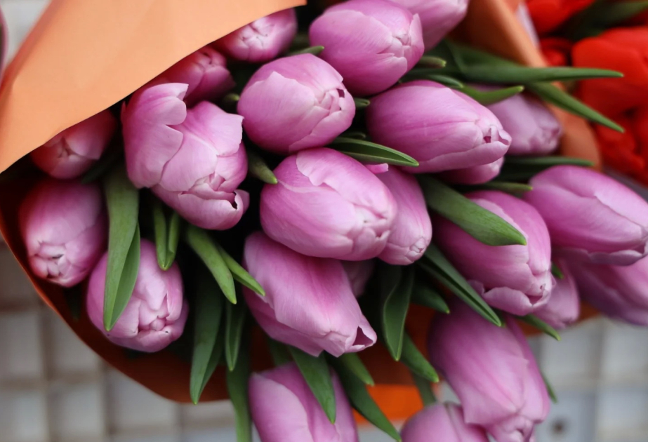 Kyrgyzstan exports 17 tons of flowers in two months