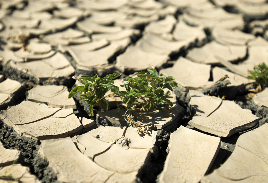 Global warming has significantly accelerated