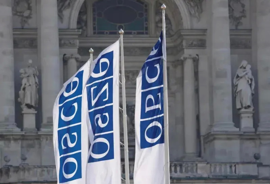 OSCE PA high-level delegation to visit Georgia on March 8-10