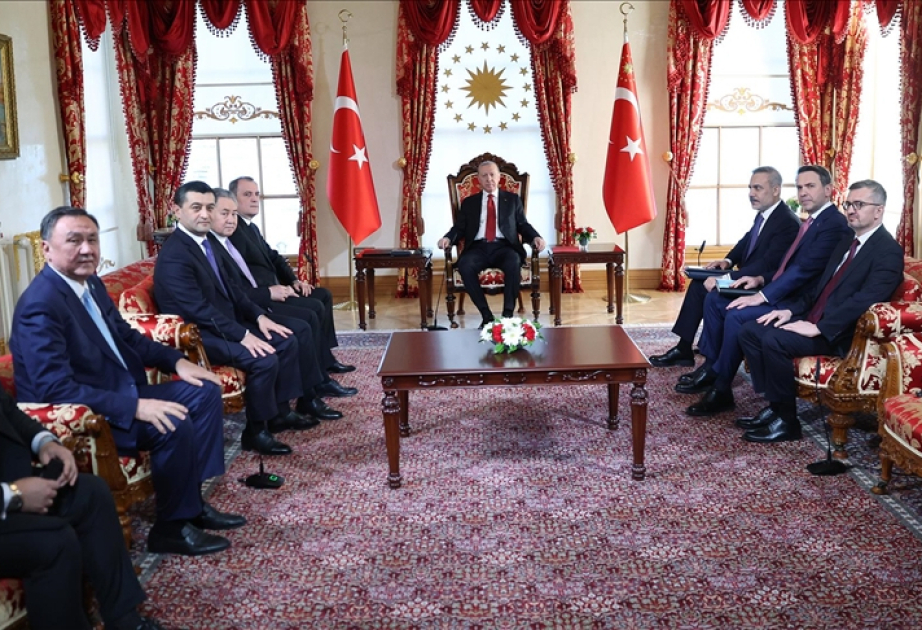Turkish President meets with OTS countries foreign ministers