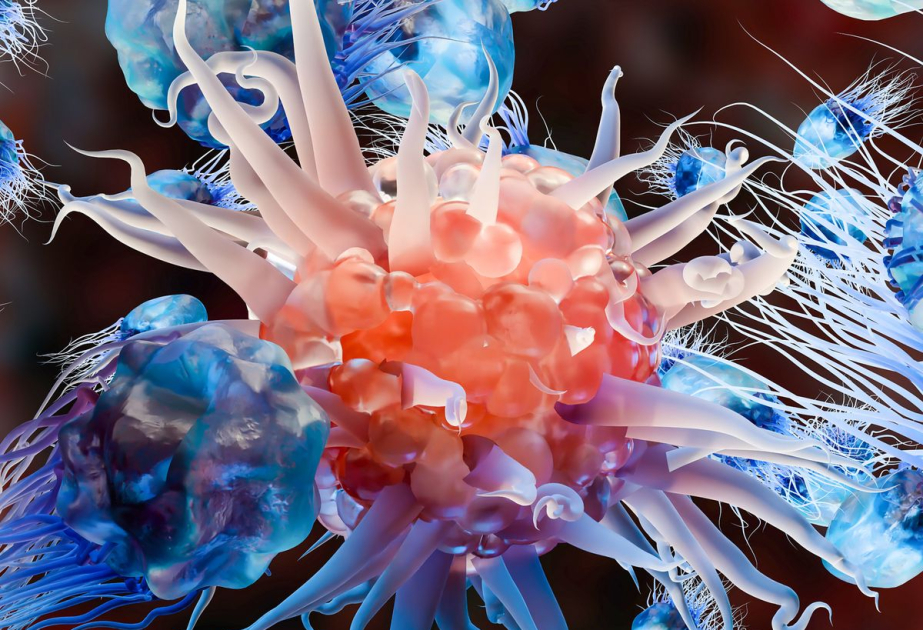Chinese scientists develop "molecular bridge" to boost cancer treatment