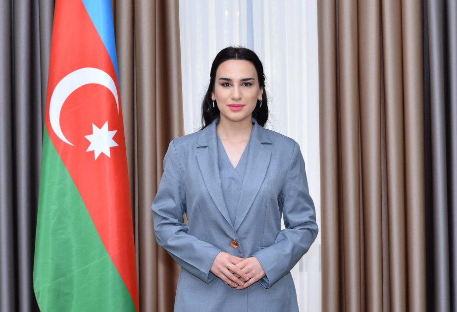 Combating harmful habits: A comprehensive model of social reintegration in Azerbaijan