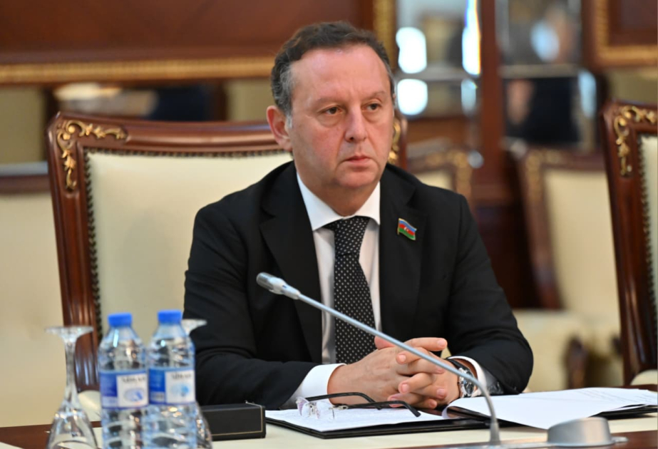 Azərbaycan regionda geosiyasi və iqtisadi körpü rolunu oynayır -  ŞƏRH