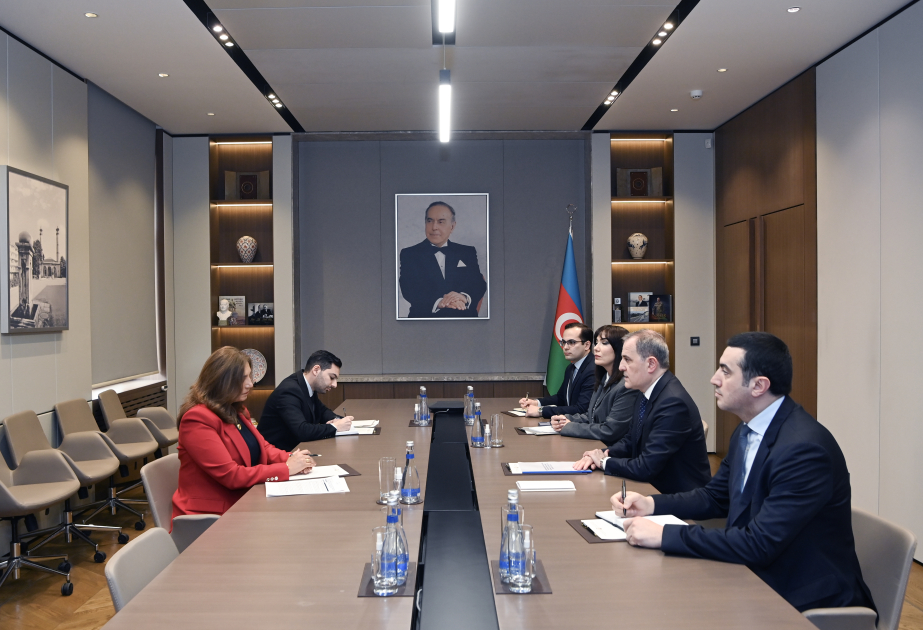 La nueva Embajadora de Colombia en Azerbaiyán presentó copias de sus cartas credenciales al Ministro de Exteriores