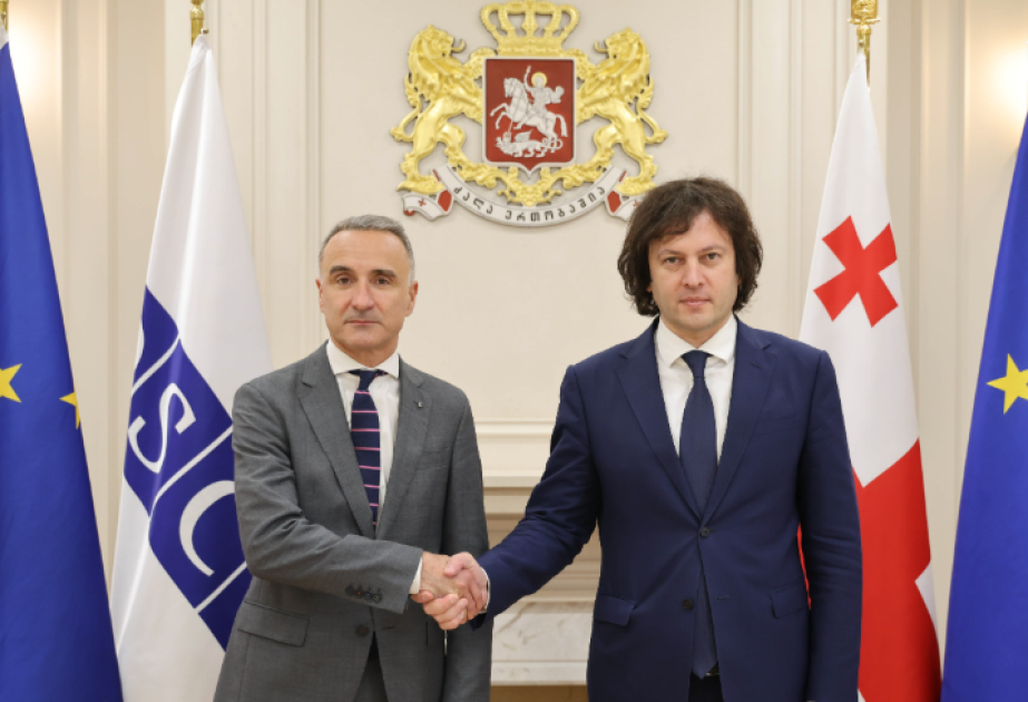 Gerogian PM meets with OSCE PA delegation, discussion focused on regional security
