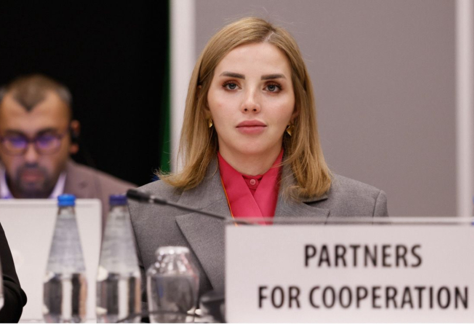 Bakou mène une politique responsable et équilibrée dans la région  COMMENTAIRE