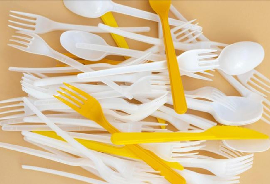 Turkiye moves to ban single-use plastics under zero waste plan