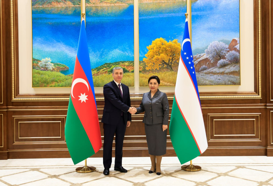Azerbaijani, Uzbek supreme audit authorities hail successful development of cooperation