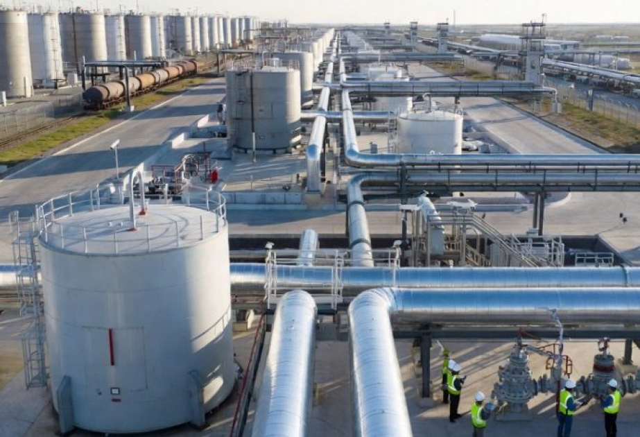 Страны G7 решили высвободить стратегические запасы нефти