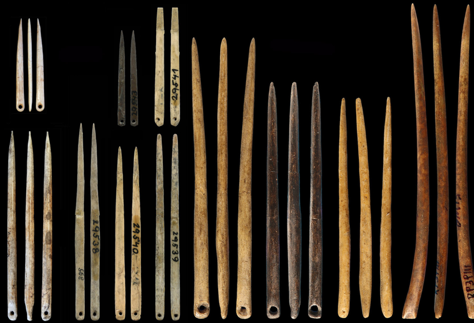Ancient sewing needles helped humans survive freezing climates