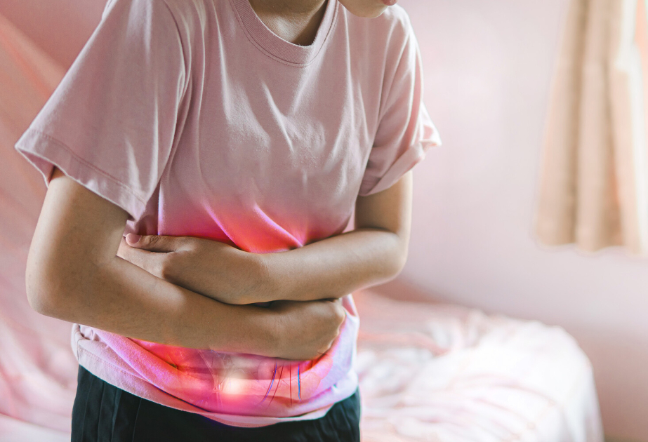 Evolution keeps reinventing the appendix