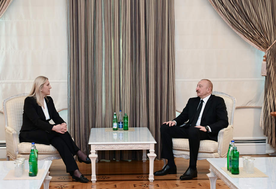 El Presidente de Azerbaiyán se reunió con la miembro de la Presidencia de Bosnia y Herzegovina