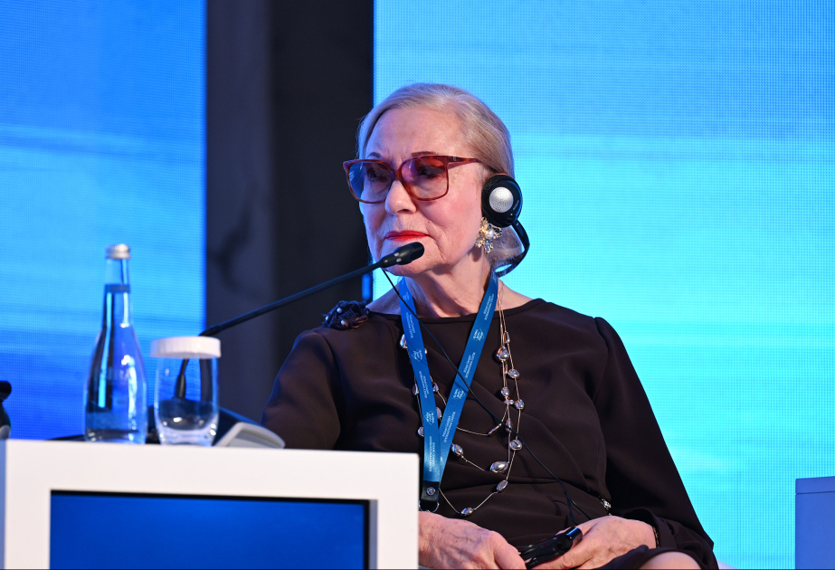 Benita Ferrero-Valdner: Dövlət-özəl tərəfdaşlığına və qeyri-dövlət aktorlarının iştirakına xüsusi diqqət yetirilməlidir VİDEO