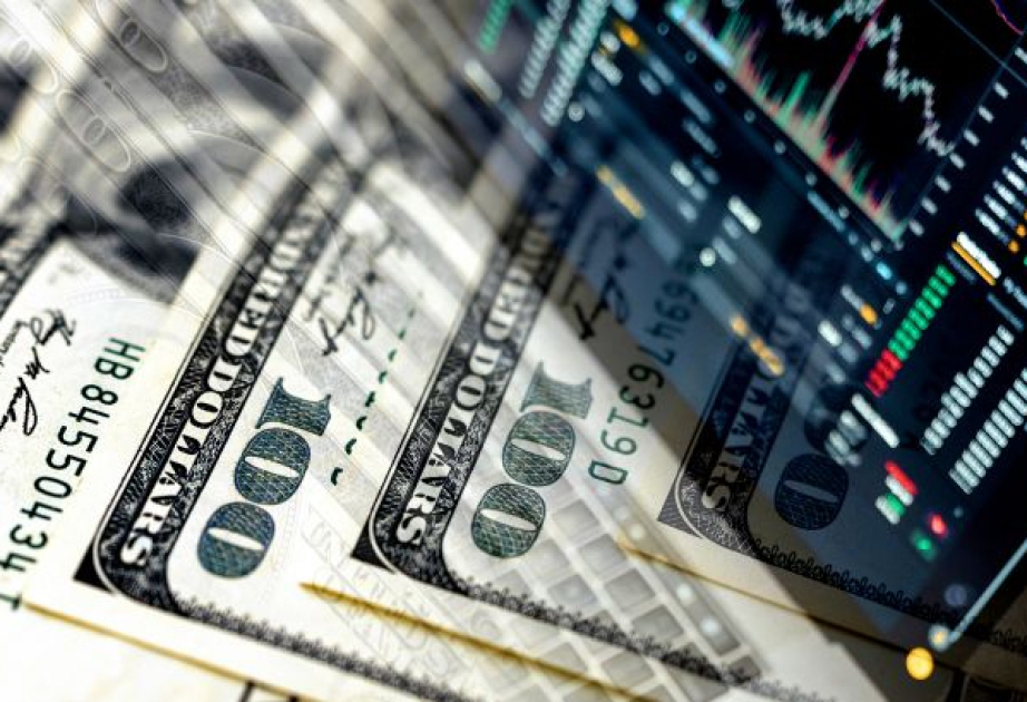 Нацбанк Украины обновил исторический максимум для курса доллара