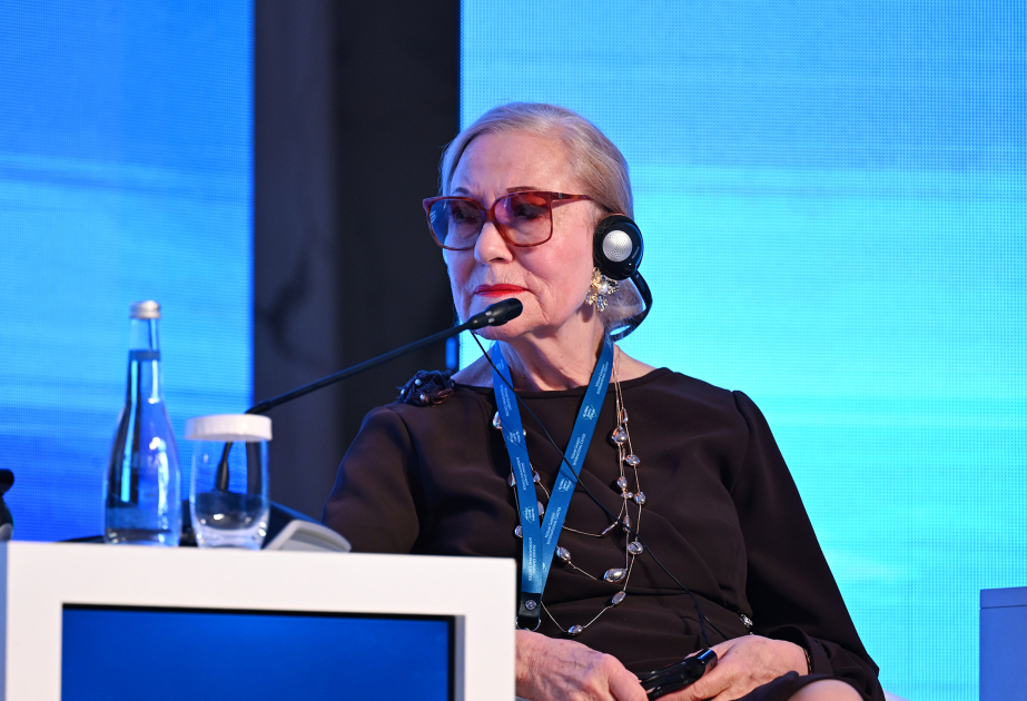 Benita Ferrero-Waldner: "Debe prestarse especial atención a la asociación público-privada y a la participación de actores no estatales"