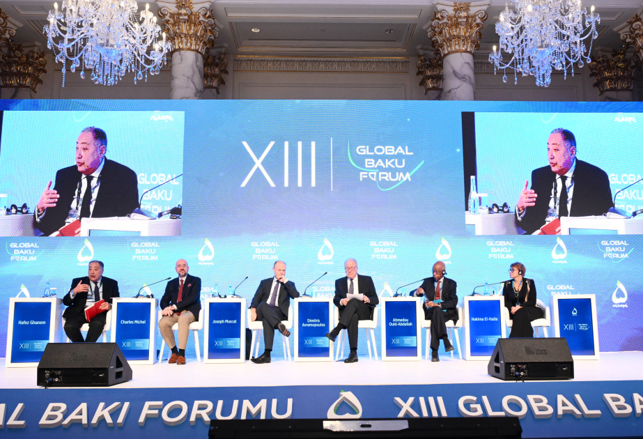 Globales Baku-Forum: Paneldiskussion zum Thema „Afrika heute und morgen“