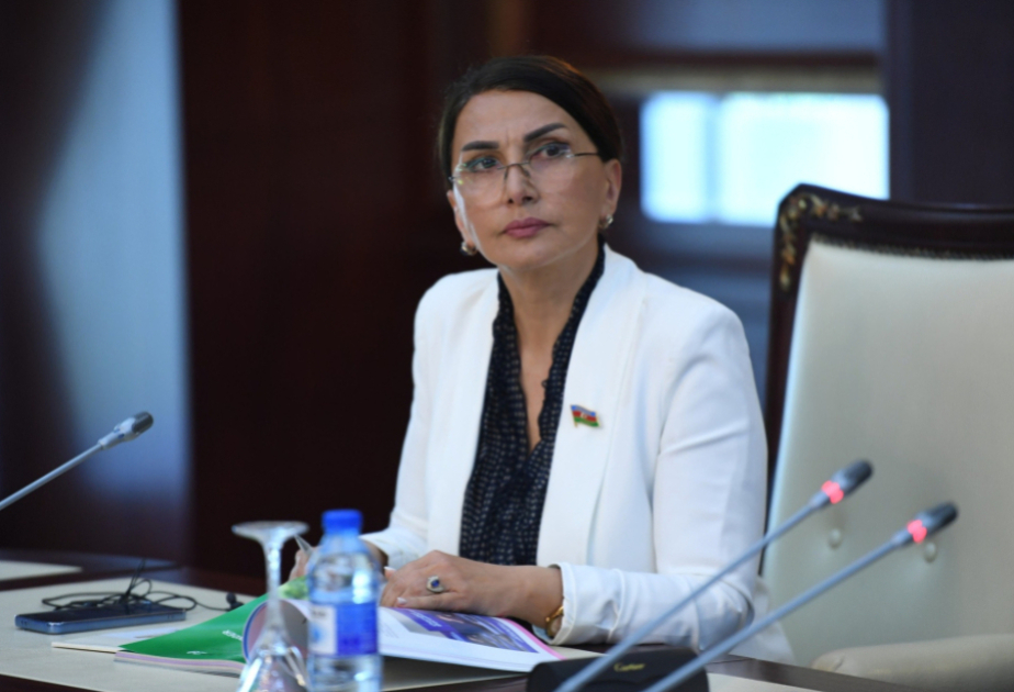 Azərbaycan yalnız regional siyasətdə deyil, qlobal müzakirələrdə də təşəbbüslər irəli sürən fəal və mühüm aktordur  ŞƏRH