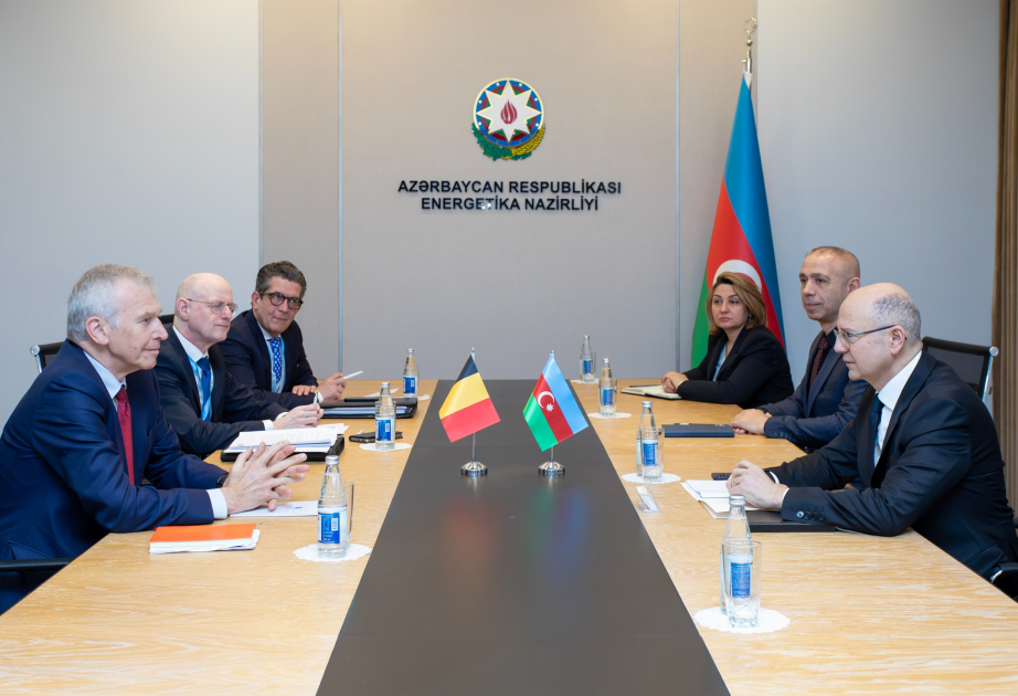 Azerbaijan, Belgium explore energy cooperation