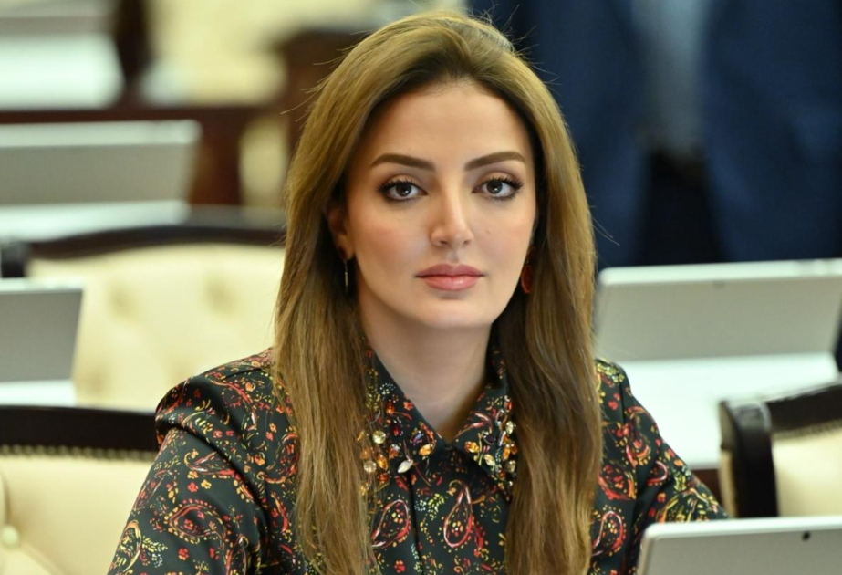 Azərbaycan qlobal problemlərin müzakirəsi və beynəlxalq dialoqun təşviqi üçün mühüm platformaya çevrilib  ŞƏRH