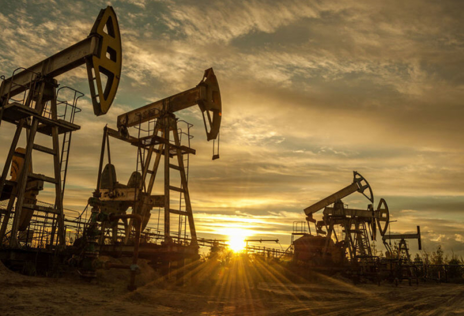 Neftin qiymətinin artması dünya iqtisadiyyatı üçün hansı riskləri yaradır? VİDEO