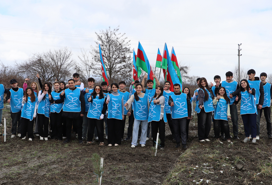 حملة "ماراثون الأخضر" للتشجير تتواصل في غابالا