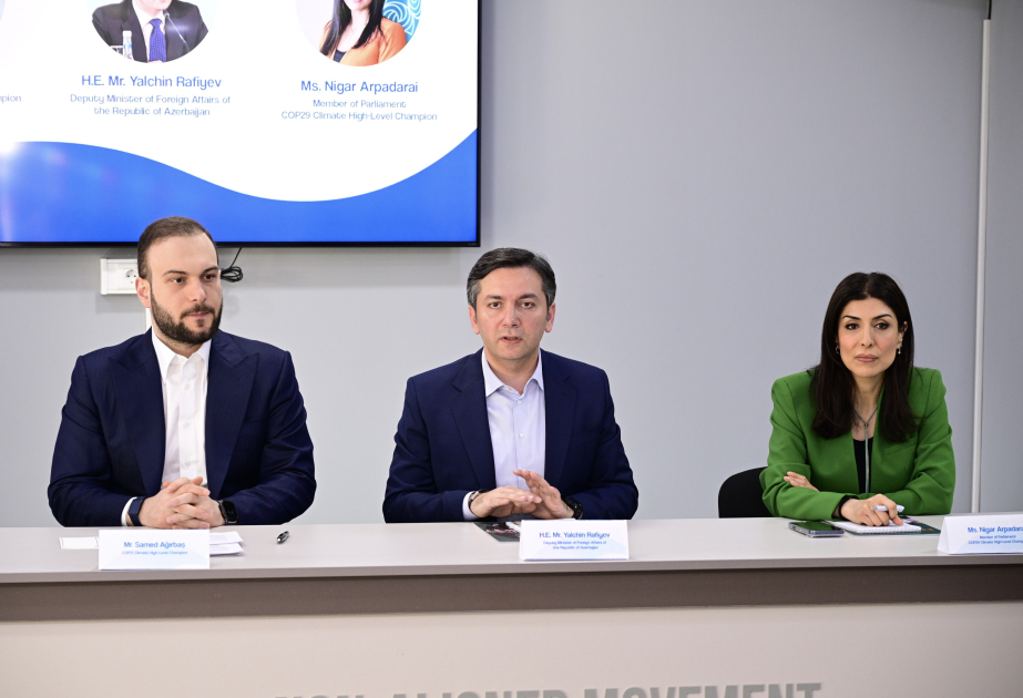 عقد جلسة "الكوب31 الطريق إلى أنطاليا" في باكو للارتقاء بدور الشباب في العمل المناخي العالمي