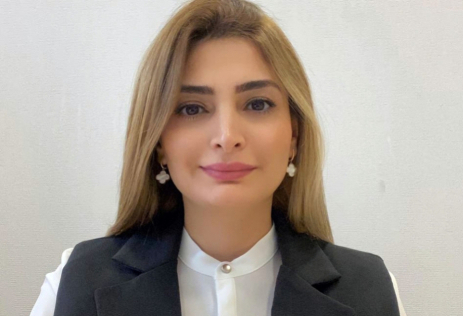 Azərbaycan–Avropa İttifaqı münasibətləri strateji əhəmiyyət daşıyır -  ŞƏRH
