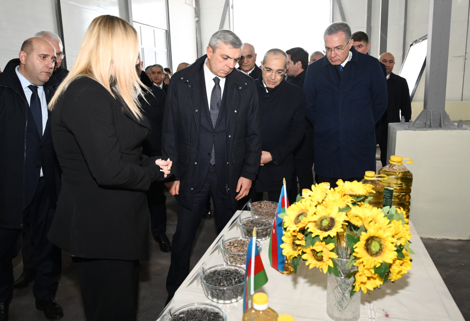 Se realizó una visita a la planta de aceite de girasol ubicada en el asentamiento de Girmizi Bazar, en Khojavand
