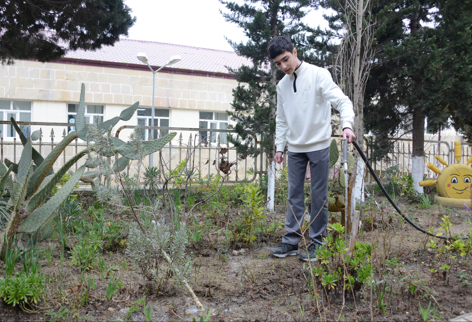 “Hər bir bitkinin yetişdirilməsində şagirdlərin böyük əməyi var” - Paytaxtın “yaşıl məktəb”indən REPORTAJ VİDEO