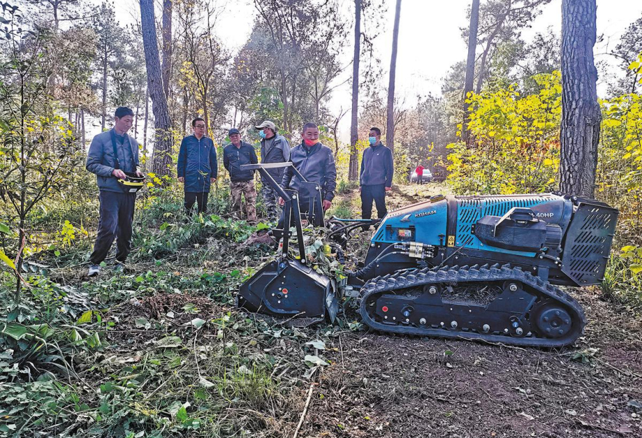 Robots in China help to protect forests