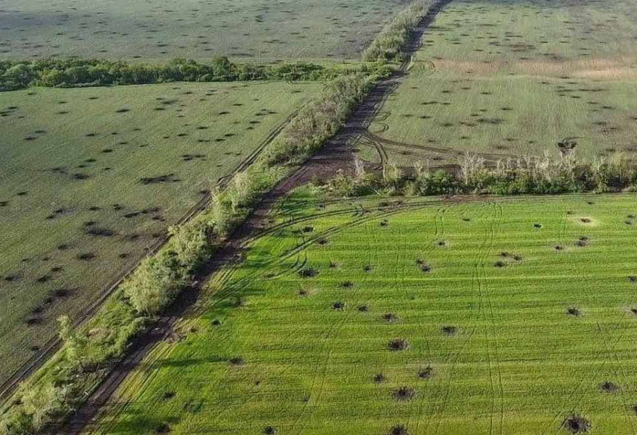 FAO report: agriculture remains a lifeline for rural families in war-affected Ukraine