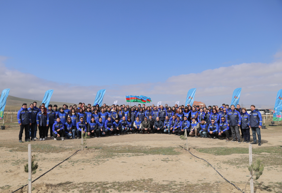 WUF13 hosts tree-planting campaign in Baku