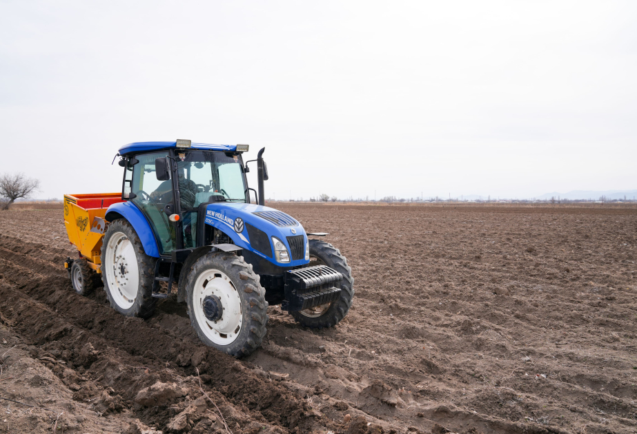 Şərurda bu il pay torpaqlarında 2152 hektar sahədə yazlıq əkin proqnozlaşdırılıb