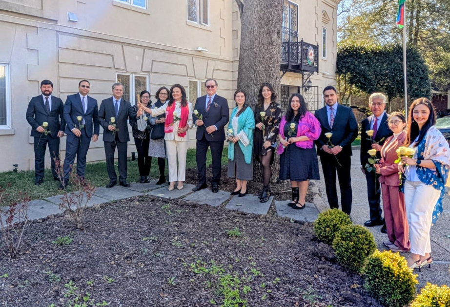 Rote Rosen als Symbol für Novruz in der Botschaft Aserbaidschans in den USA gepflanzt