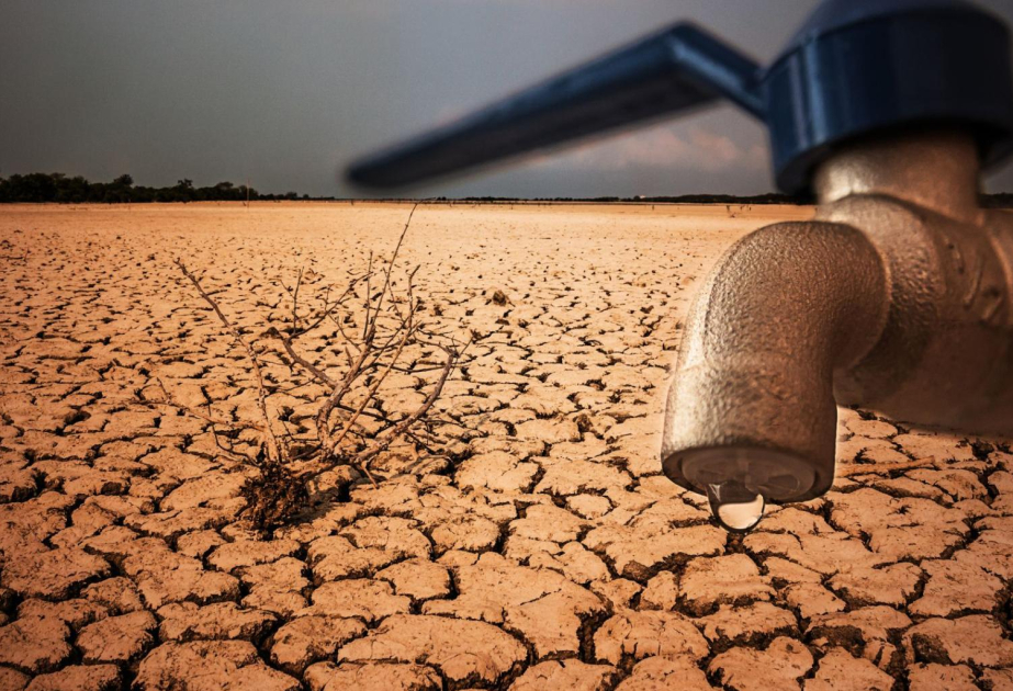 „Der Planet Erde wird an seine Grenzen gebracht“