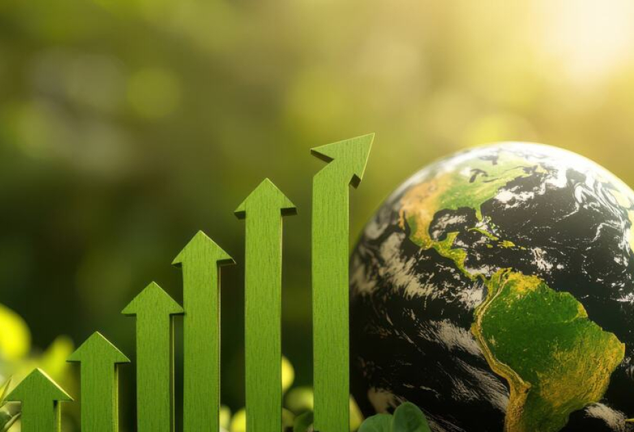 Earth's climate more unbalanced than ever, WMO warns