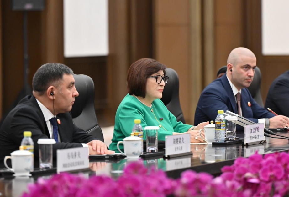 رئيسة المجلس الوطني تجتمع مع رئيس اللجنة الدائمة للمجلس الوطني لنواب الشعب الصيني