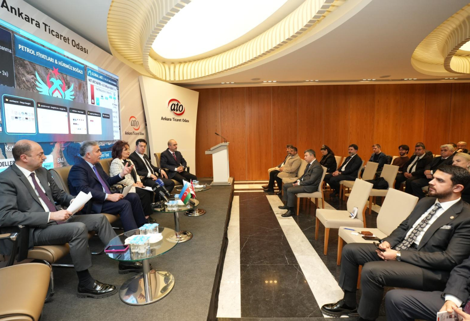 Турецкиx инвесторов призвали к активному участию в энергопроектаx Азербайджана