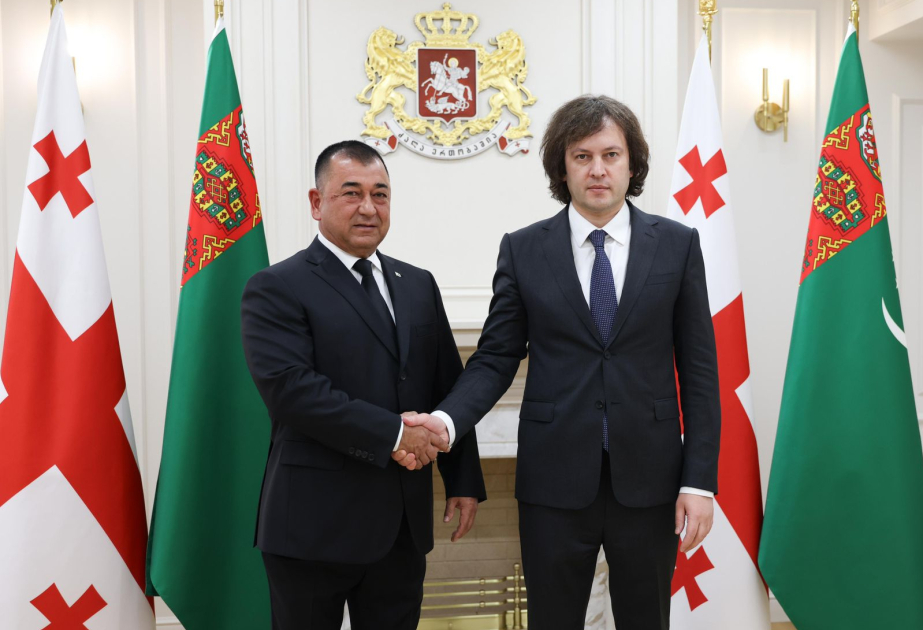 La situación regional, en el centro de la reunión entre funcionarios de Georgia y Turkmenistán