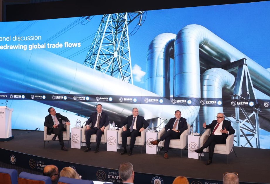 SOCAR Yaxın Şərqdə fəaliyyətini genişləndirməyi planlaşdırır