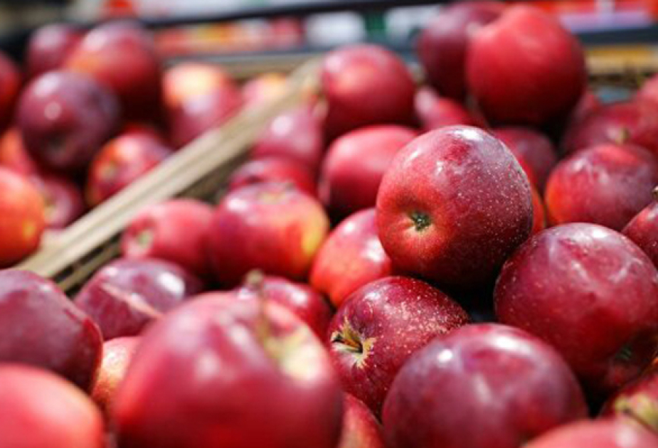 Azərbaycan son 5 ildə alma ixracını 2 dəfə artırıb