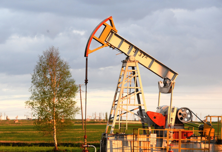Les cours du pétrole diminuent sur les bourses mondiales VIDEO