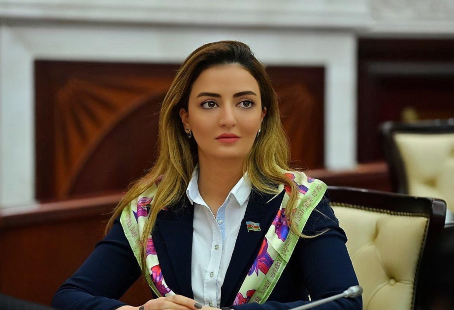 Aprel döyüşləri Azərbaycanın sarsılmaz iradəsini bir daha bütün dünyaya nümayiş etdirib RƏY