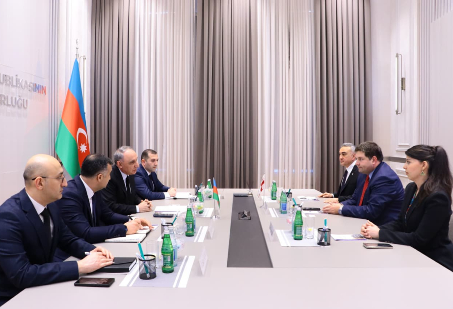 Baş Prokuror: Azərbaycan və Gürcüstan arasındakı münasibətlər hüquq sistemlərindəki əlaqələrin möhkəmləndirilməsi baxımından da mühüm əhəmiyyət kəsb edir